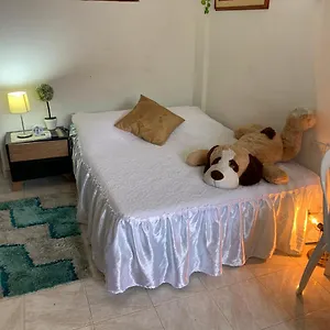 https://apartamentos-manga-real-950009.cartagena-hotels.org